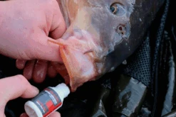 Angling Pursuits Cradle Set -Vistuig winkel 07175c021d39c5ce