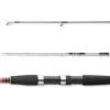 Daiwa Seahunter X Seatrout 3,10m (10-40g)