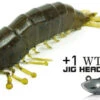 Molix Shrimp 2,5" & WT Jig Head