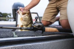 Lew's Custom Pro -Vistuig winkel 543262167ad8892e