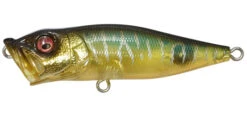 Megabass PopX