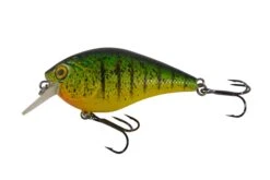 Hardlure Pack Met 12 Pluggen! (1 Review) 24 Hardlure Pack Met 12 Pluggen! (1 Review) -Vistuig winkel 61b7365a813011df