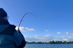 Patriot Pikehound Hyrräkelavapa Baitcasthengel -Vistuig winkel 64361a56c6f9218f