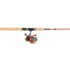 Abu Garcia Revolution Combo (3 Reviews)