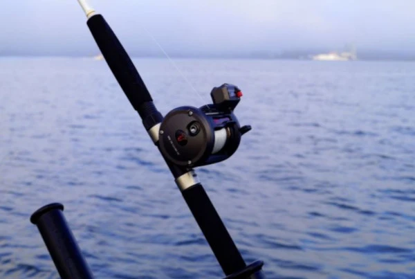 Rhino TR LC (1 Review) 6 Rhino TR LC (1 Review) - Afbeelding 6