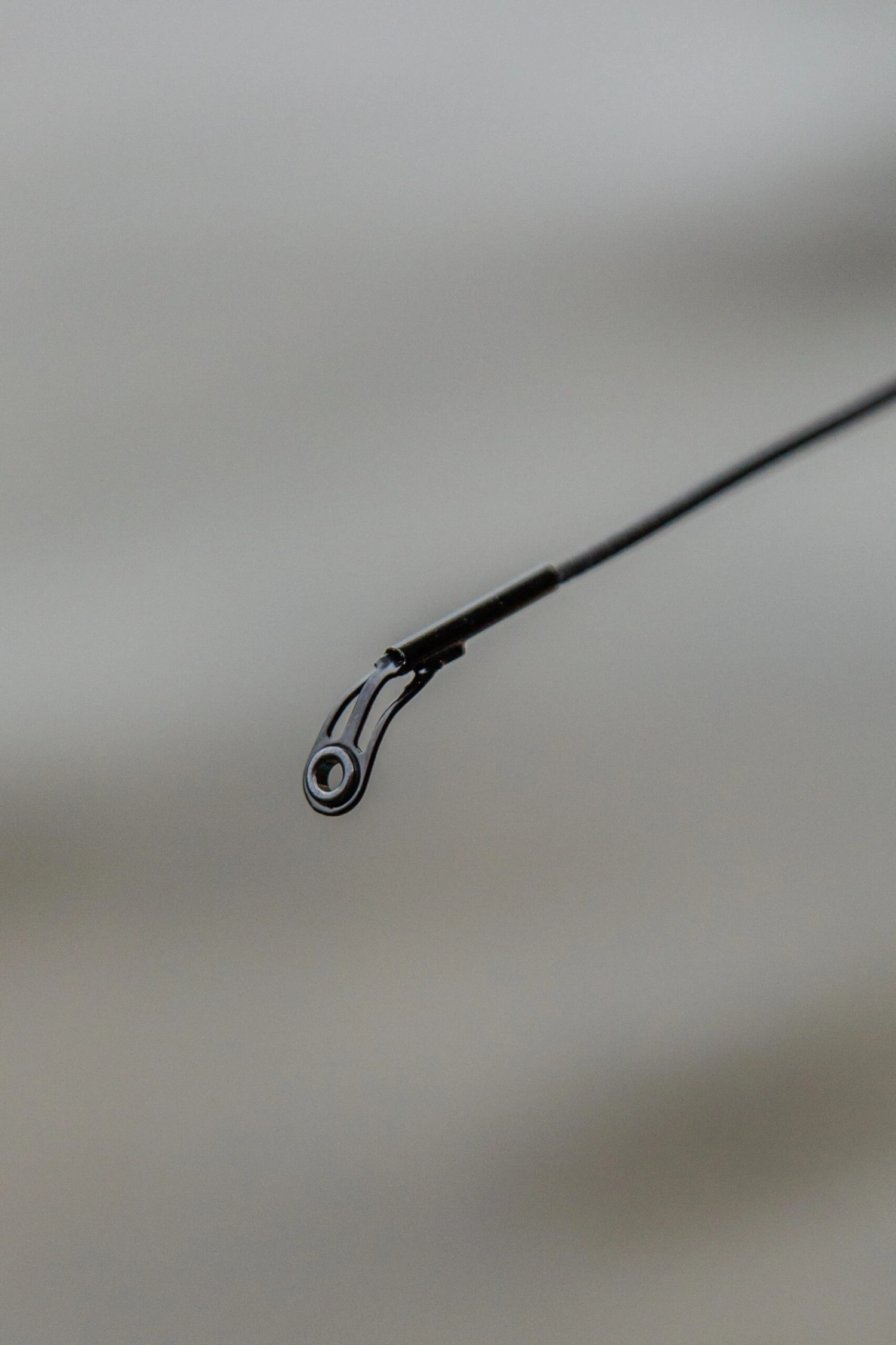 Ultimate Supreme Bolognese Hengel (35 Reviews) 15 Ultimate Supreme Bolognese Hengel (35 Reviews) - Afbeelding 15