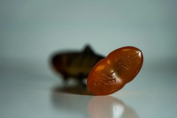 Hostagevalley Troubletail Shad 14cm (30g) 5 Hostagevalley Troubletail Shad 14cm (30g) - Afbeelding 5