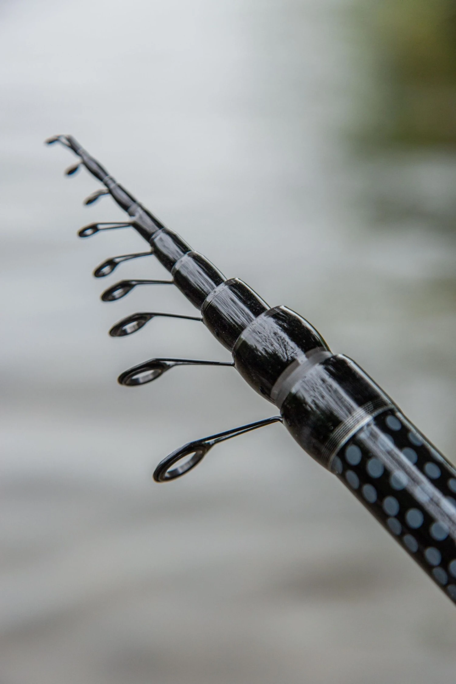 Ultimate Supreme Bolognese Hengel (35 Reviews) 10 Ultimate Supreme Bolognese Hengel (35 Reviews) - Afbeelding 10