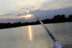 Browning Argon 2.0 Feeder MH 360cm -Vistuig winkel e857d7ea72b0caaa