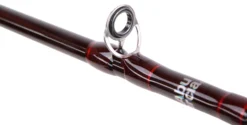 Abu Garcia Diplomat Fly Combo (4 Reviews) -Vistuig winkel f5747136186ce08f